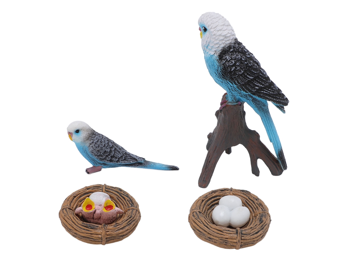 4 Piezas Juguete Ciclo De Vida De Periquito Pvc Figuras Educativas Para Niños