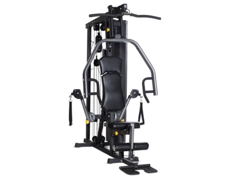 Multiestación HORIZON FITNESS Torus 3
