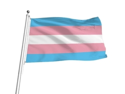 Bandera Transgénero De 90x150cm, Pangénero De Doble Género Con 2 Ojos De Cobre Para Pared, Dormitorio O Uso Exterior.