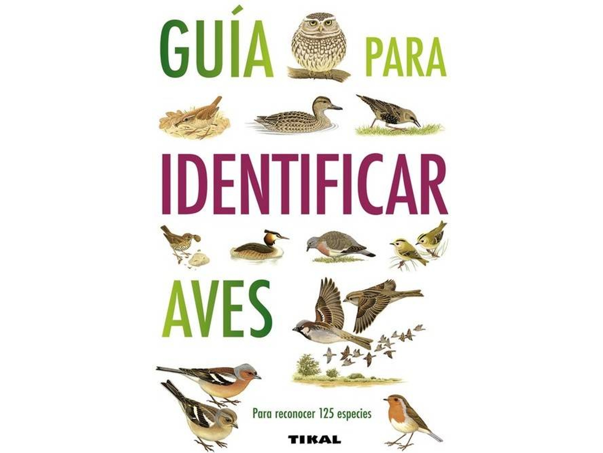 Libro Guía Para Identificar Aves de Nicholas Hammond (Español)