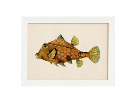 Póster NACNIC de Pez Pincho Naranja, Verde y Amarillo en , Fondo Papel Vintage.