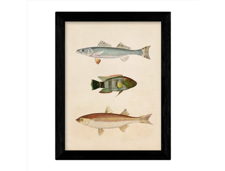 Set de 4 Láminas de Peces Coloridos Efecto Vintage. Composicion de 10 Peces Diferentes, Fondo Papel Antiguo Vintage Sin Marco