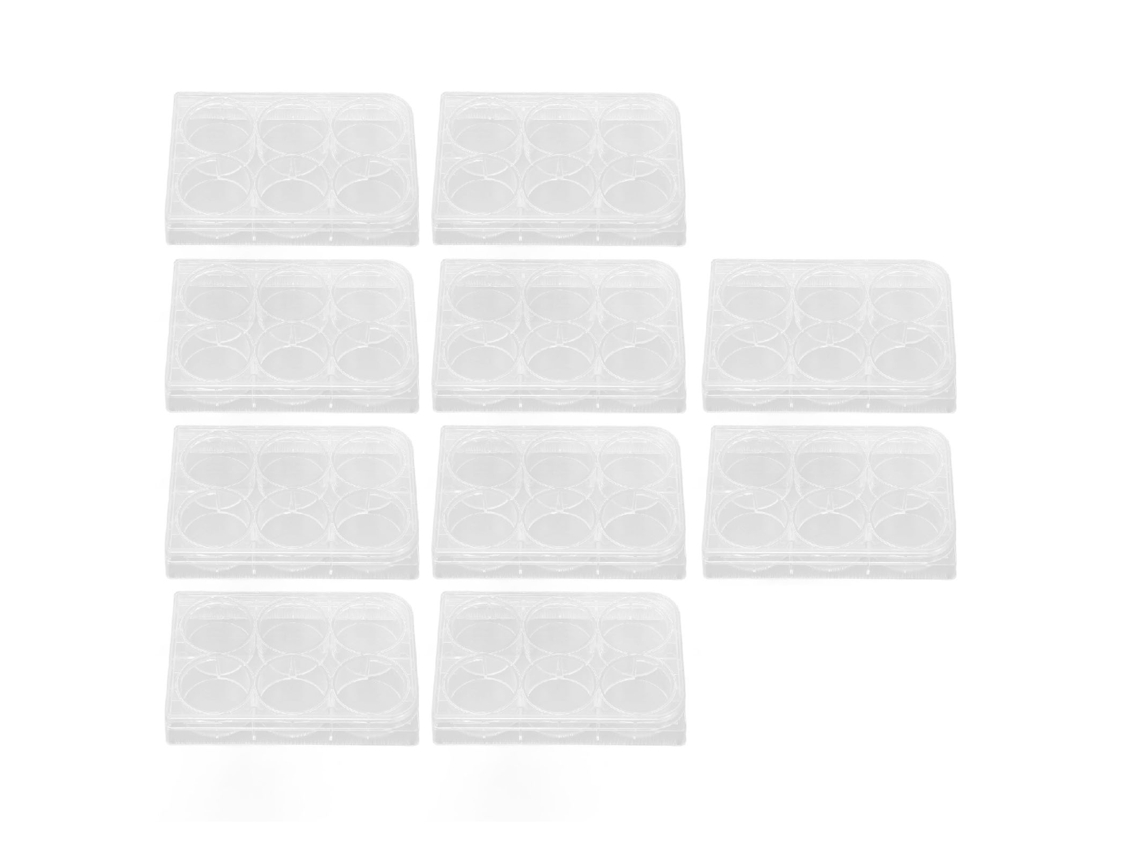 10 placas de cultivo transparentes y uniformes con tapa, 6 pocillos, para laboratorio de biología