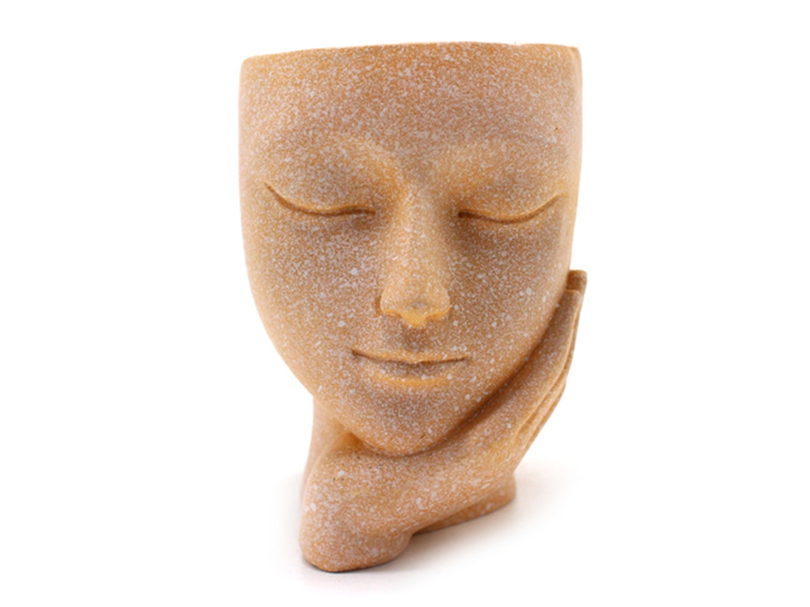 Bonita Maceta Decorativa Pequeña De Resina Con Forma De Carita De Suculenta Para Mesa.