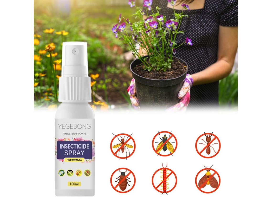 Inseticida Para Plantas Em Vasos E Flores Anti-insetos E Aranhas Spray
