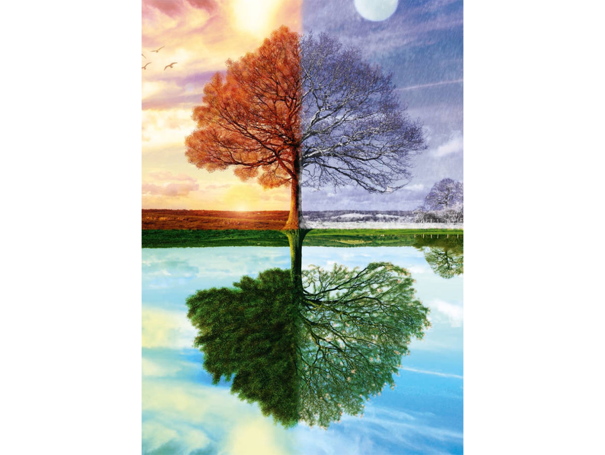 Puzzle SCHMIDT SPIELE 58223 (500 Piezas)