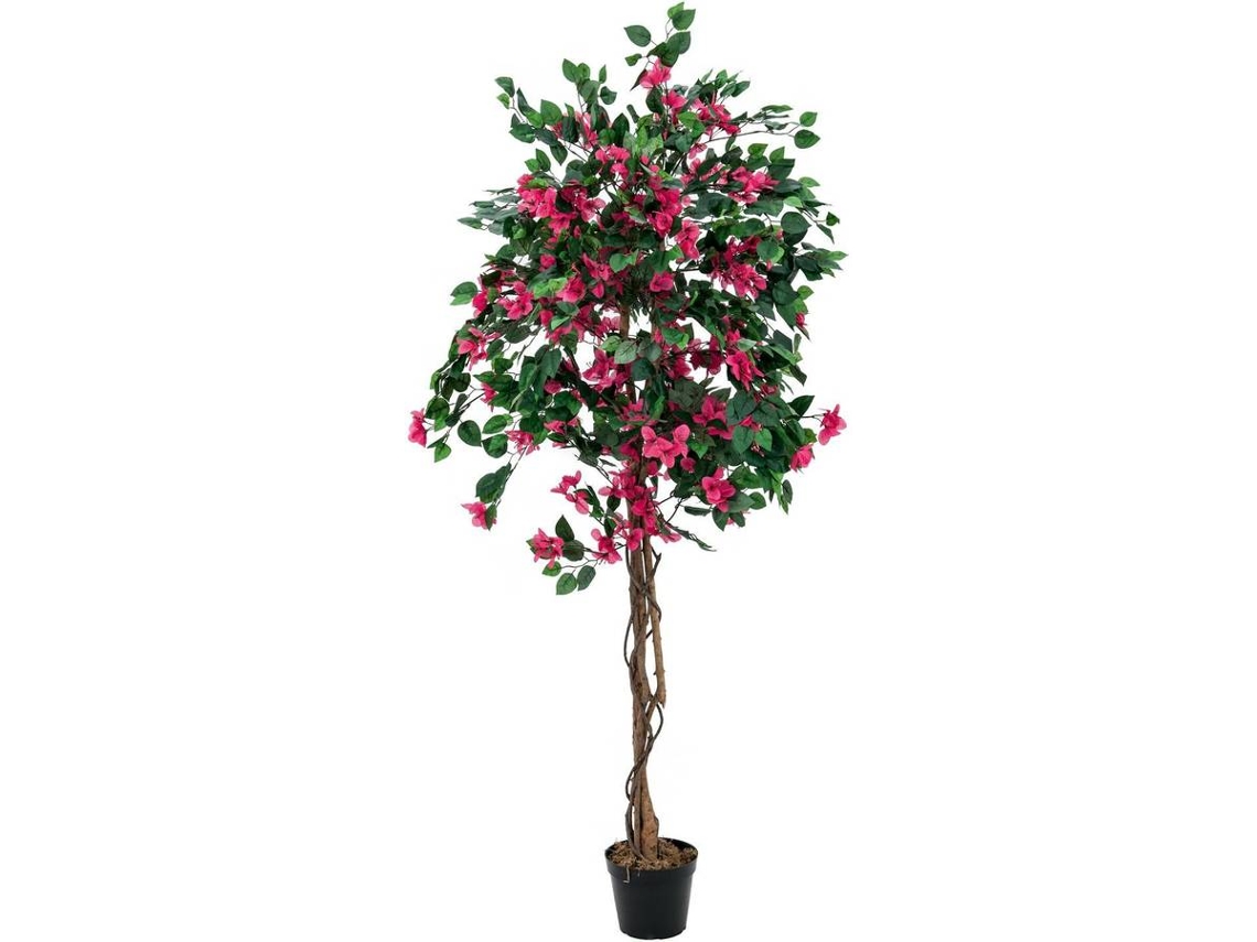 Planta Artificial EUROPALMS Bougainvillea (Verde - 150 cm)