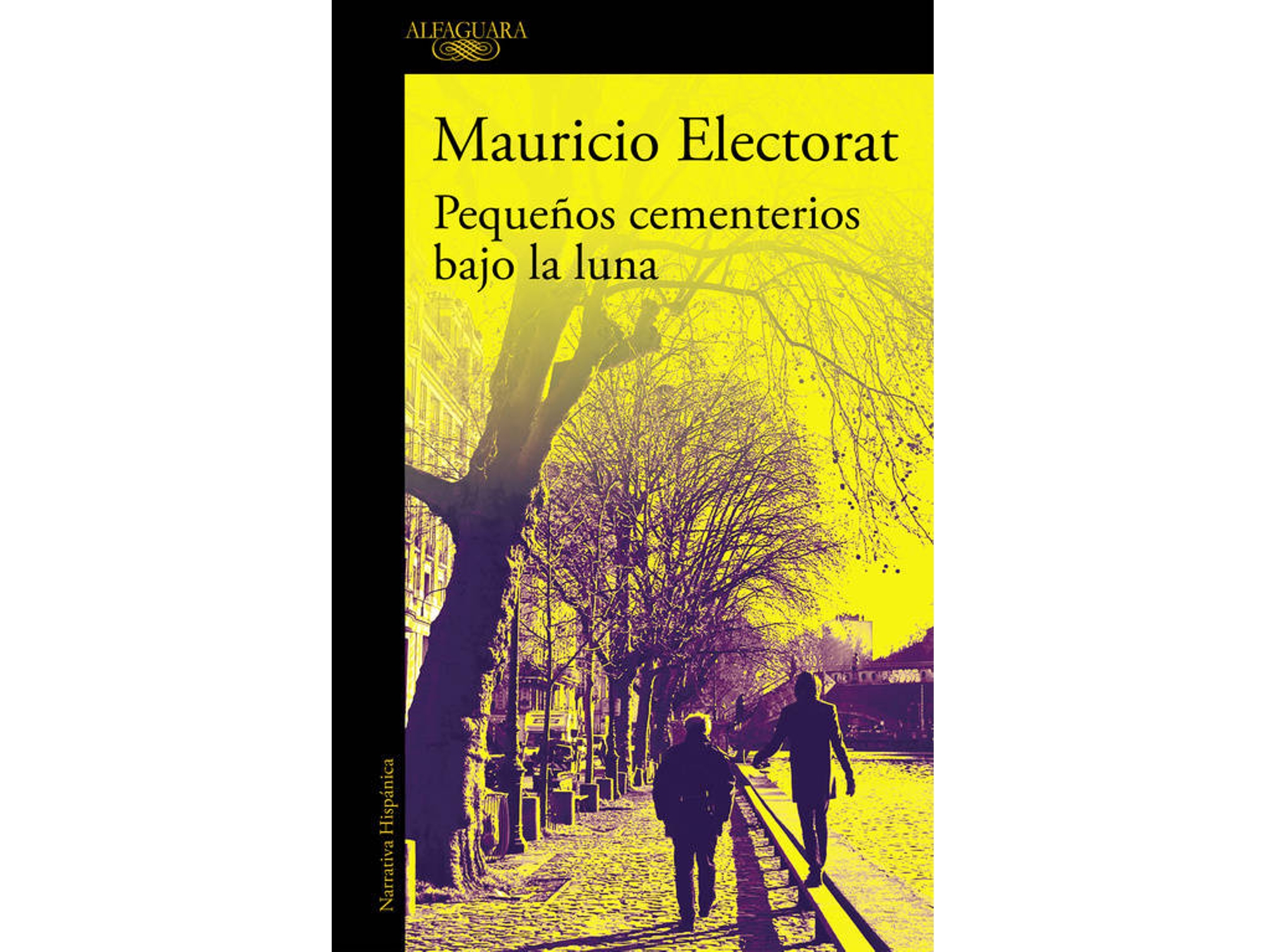 Libro Pequeños Cementerios Bajo La Luna de Mauricio Electorat (Español)