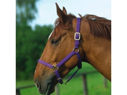 Cabezada para caballos Norton Doublé cuir