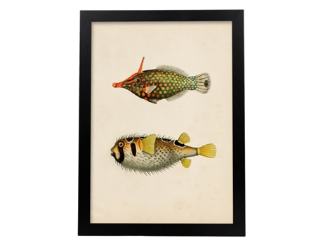 Póster NACNIC de Dos Peces Amarillo, Verde Negro y Rojo en , Fondo Papel Vintage.