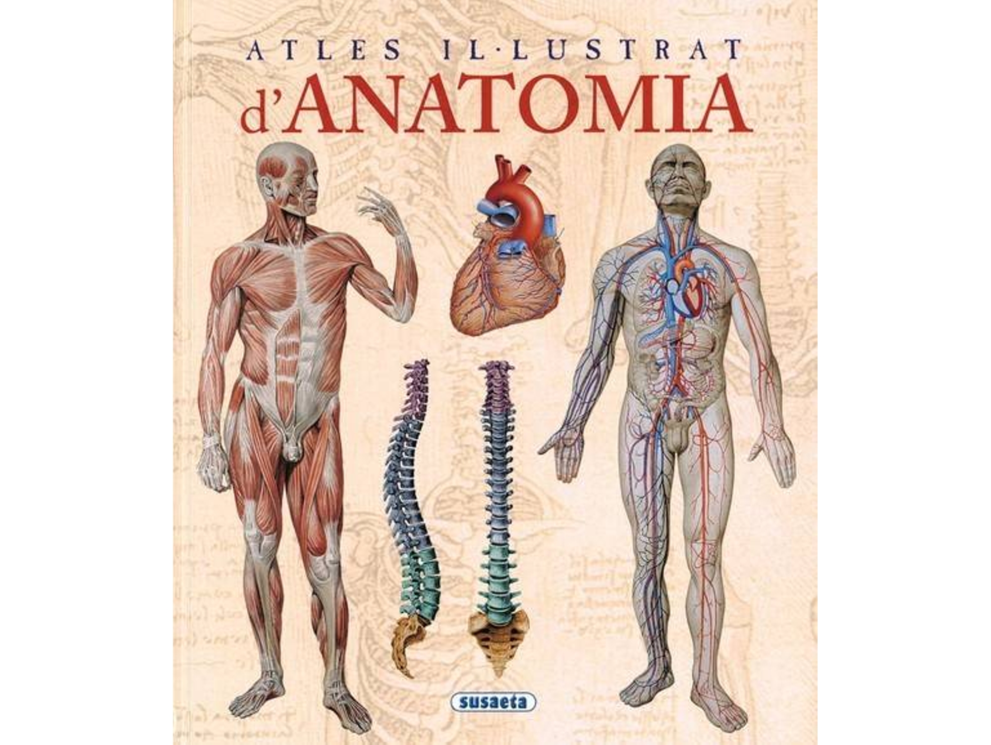 Libro Atles Il-Lustrat DAnatomia de Adriana Rigutti