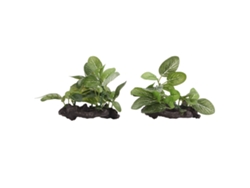 2 plantas decorativas de alta simulación para acuario