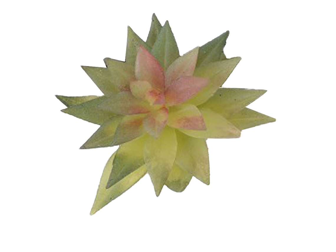 Planta suculenta artificial para decorar la mesa con alta simulación