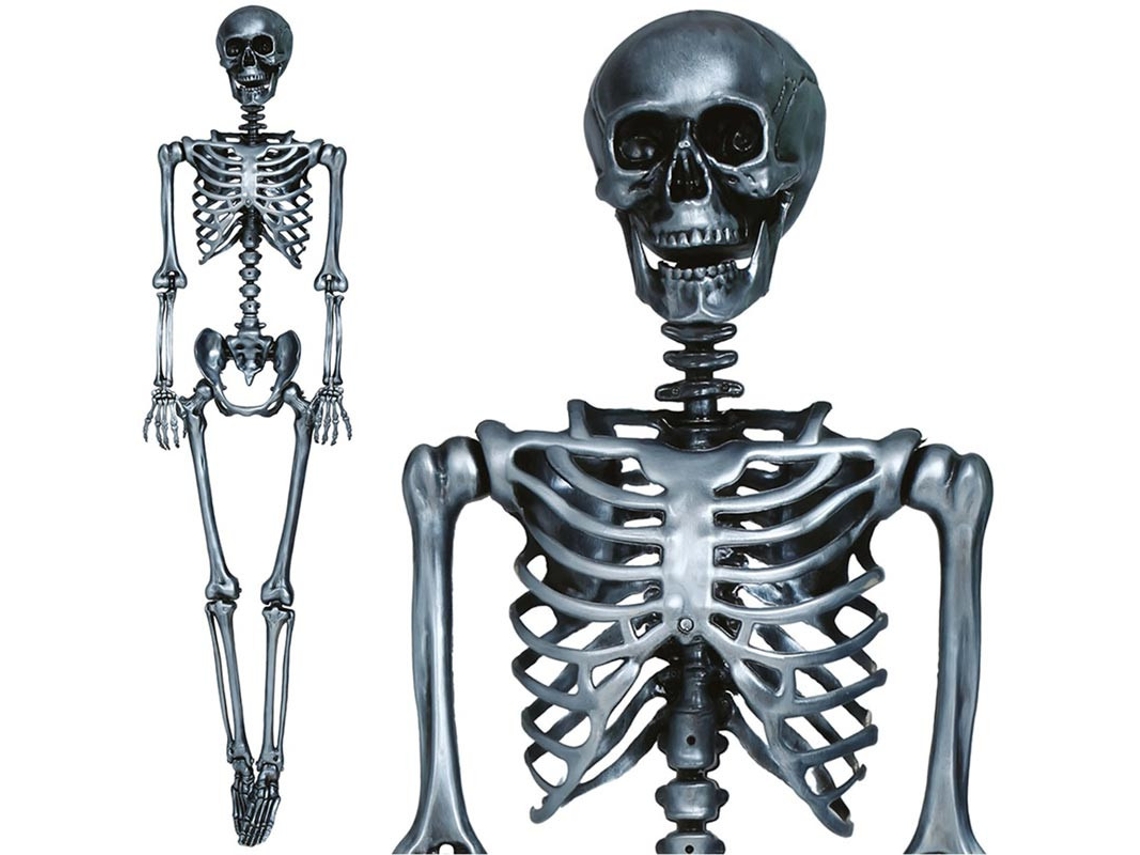 Esqueleto plata 160 cm