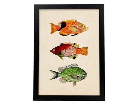 Póster NACNIC de Tres Peces Naranja, Negro Rojo, Verde en , Fondo Papel Vintage.