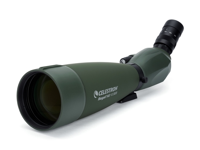 Telescopio Terrestre CELESTRON Regal M2 100ED 45º