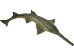 Figura COLLECTA Sawfish
