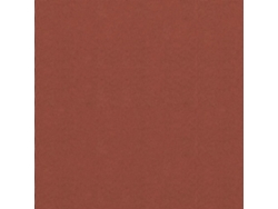 Mampara de Balcón 90x300 Cm Tejido Oxford Terracota MAISON EXCLUSIVE