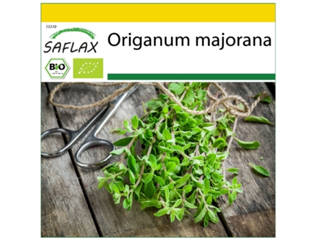 SAFLAX Conjunto de cultivo Ecológico Mejorana 700 semillas Con mini invernadero, sustrato de cultivo y 2 macetas Origanum majorana