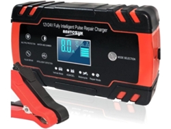 Cargador de batería para coche Halinuia de 12V/24V y 8A