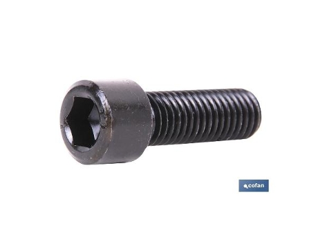 Din-912 c-12.9 m-12 x100 n caja 5 unid.