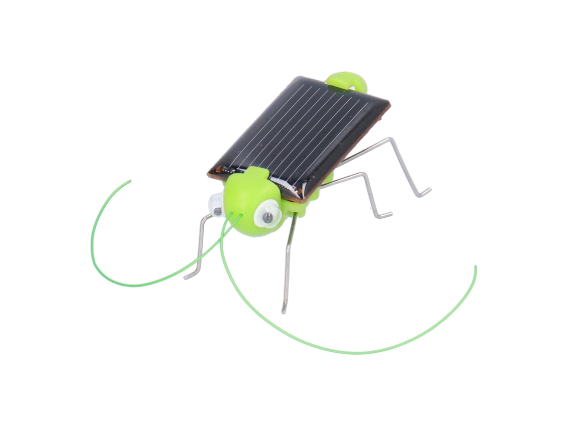 Brinquedo Educativo De Inseto Gafanhoto Móvel A Energia Solar Verde Para Crianças