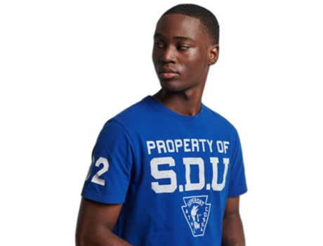 Camiseta para Hombre SUPERDRY (L - Algodón - Azul)