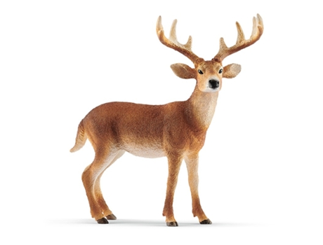 Figura de Jugar SCHLEICH Ciervo De Cola Blanca Macho (Idade Mínima Recomendada: 3 anos)