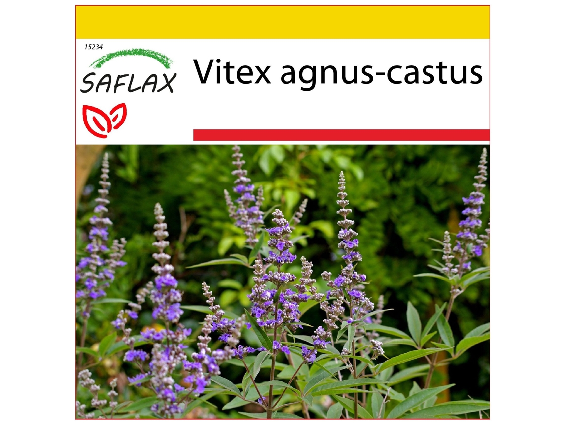 SAFLAX Conjunto de cultivo Hierba de Castidad 30 semillas Con mini invernadero, sustrato de cultivo y 2 macetas Vitex agnus-castus