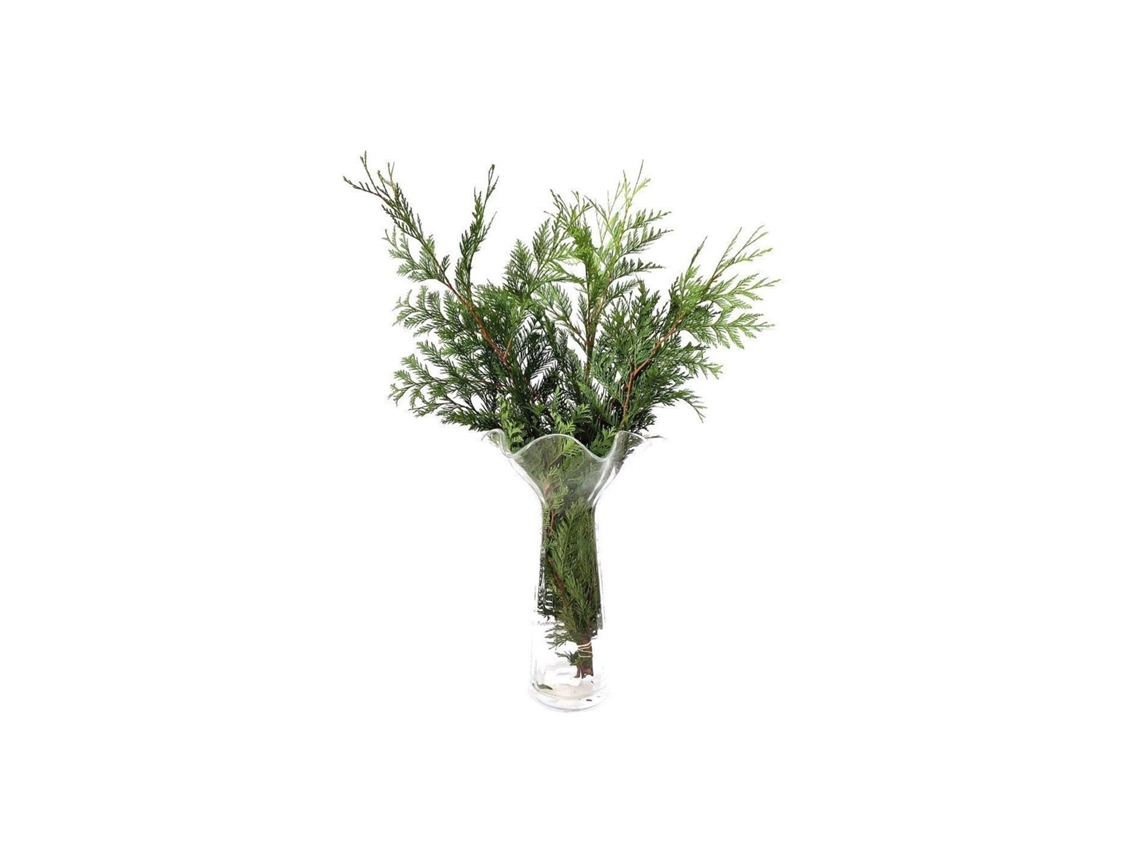 Thuja | Flor Natural | Ramo de 5 tallos | Verde | 60cm de alto
