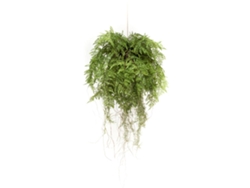 Planta artificial EMERALD Verde Polietileno (55 x 55 x 55 cm)