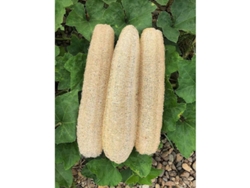 Esponjas De Lufa Natural, 3 Unidades, Para Exfoliación Y Cuidado En El Baño.
