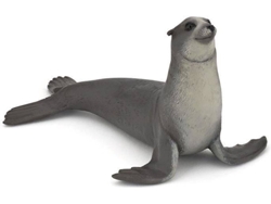 Figura PAPO León Marino