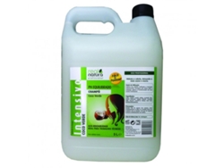Champú REAL NATURA Coco Verde (5000 ml)