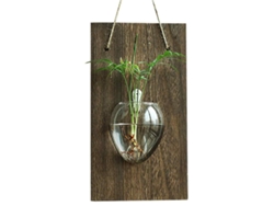 VVJIJILLY Vasos De Parede Rústicos 18x33cm Em Madeira E Vidro Para Decoração Moderna E Simples