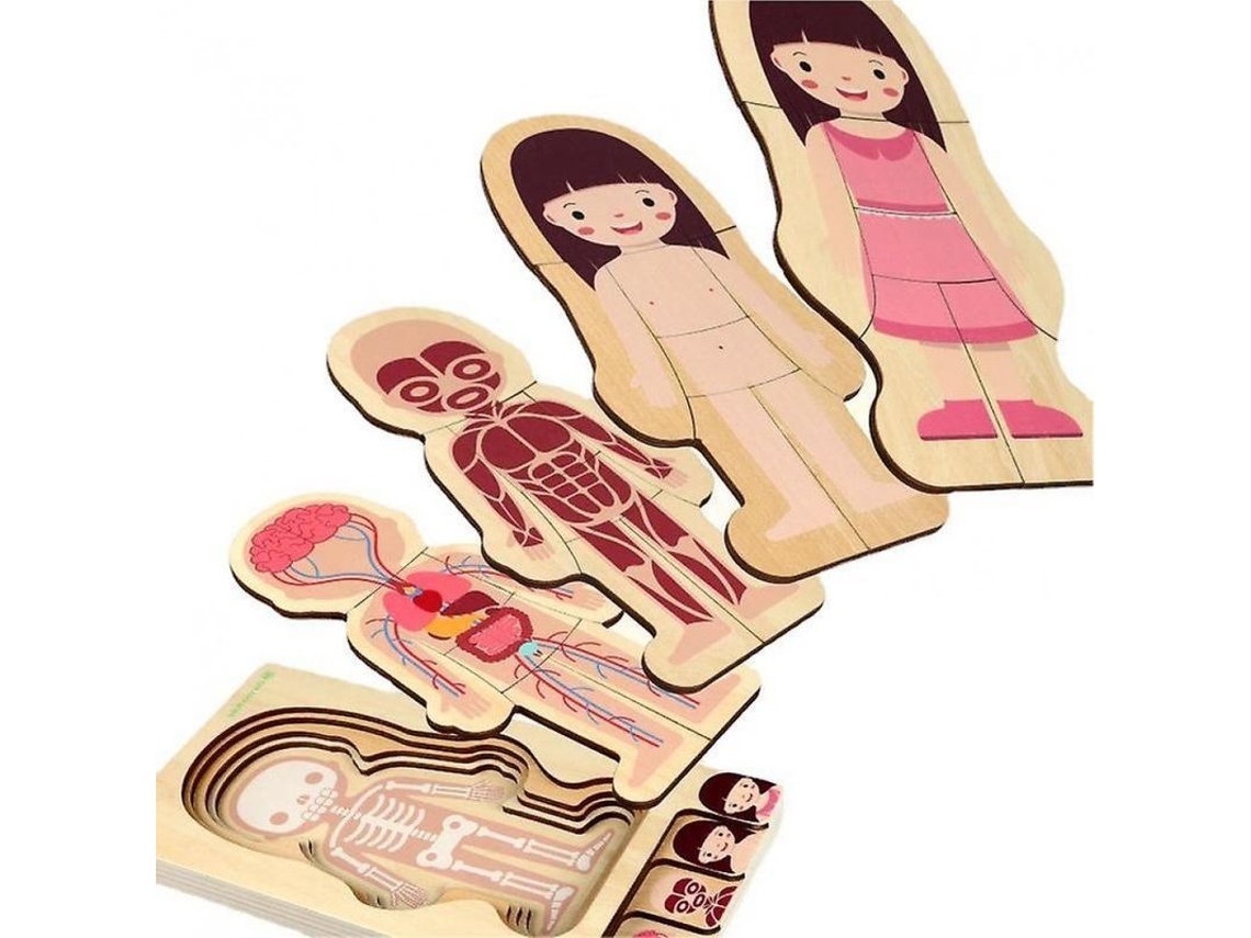 Rompecabezas Educativo De Madera Multicapa De Anatomía Para Niños Y Niñas Ymx