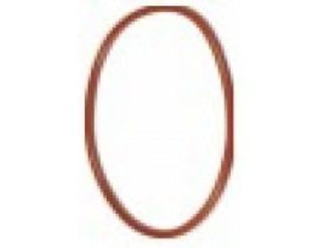 Filtro EHEIM O-Ring 2217