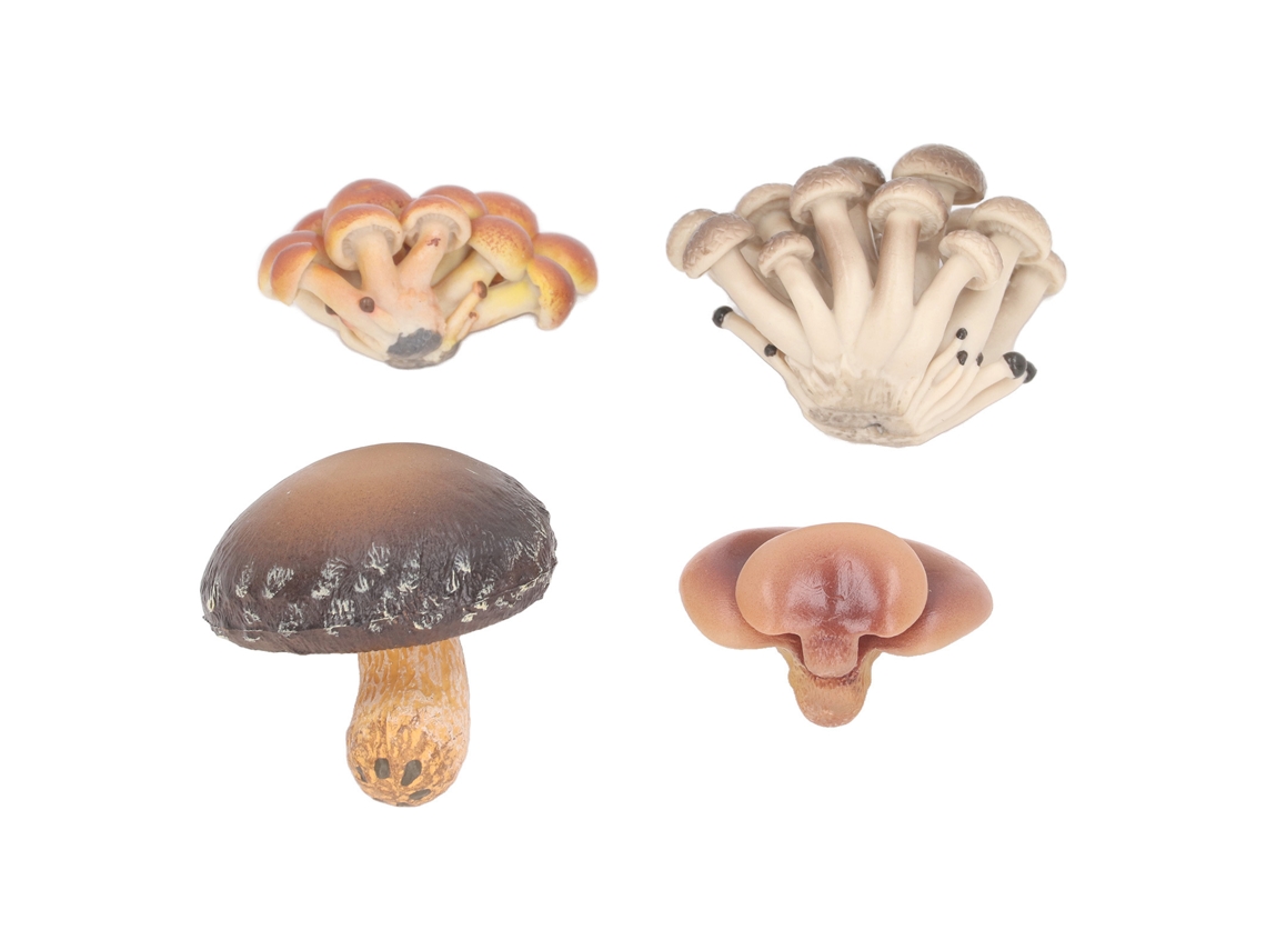 Mali 4pcs Conjunto de Modelos de Cogumelos em Miniatura Simulados para Decoração e Educação Infantil