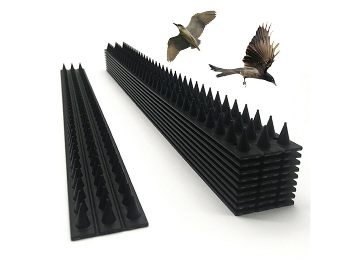 Repelente de aves con púas, 10 clavijas, herramienta de pared