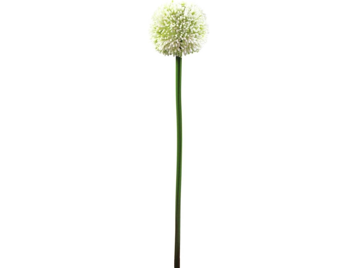 Planta Artificial EUROPALMS Allium (Verde - 55 cm)
