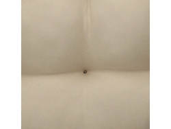 Cojines VERY LUCKY Para Sillas (4 Un - Beige - 40x40x3.5 cm)