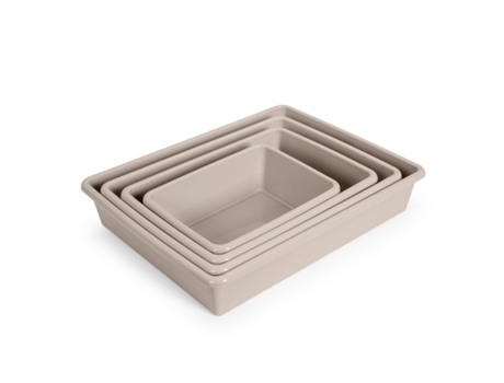 Pack de Cajas de Ordenación PLASTIC FORTE (34.5 x 26 x 6.5 cm - Plástico - Multicolor)