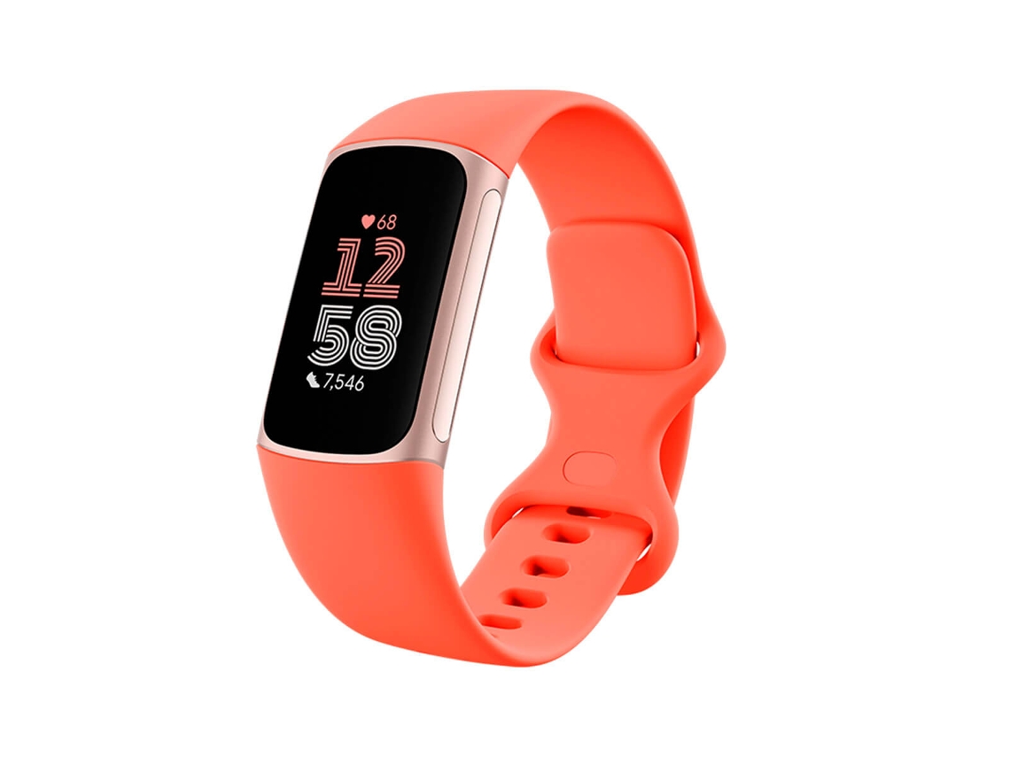 Cuerpo de Aluminio FITBIT Charge 6 Coral Coral y Champagne Gold