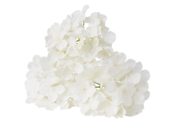 105 piezas de hortensias artificiales Succebuy de seda blanca de aspecto real a granel