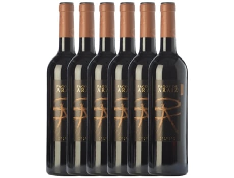 Vino PAGOS DE ARÁIZ Pagos De Aráiz Navarra Crianza (0.75 L - 6 unidades)