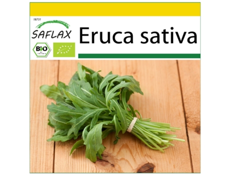 SAFLAX Conjunto de cultivo Ecológico Rúcula 3000 semillas Con mini invernadero, sustrato de cultivo y 2 macetas Eruca sativa