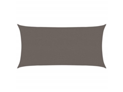 Maison Exclusive - Toldo De Vela Gris Antracita Hdpe 160 G/m² 2,5x4,5 M