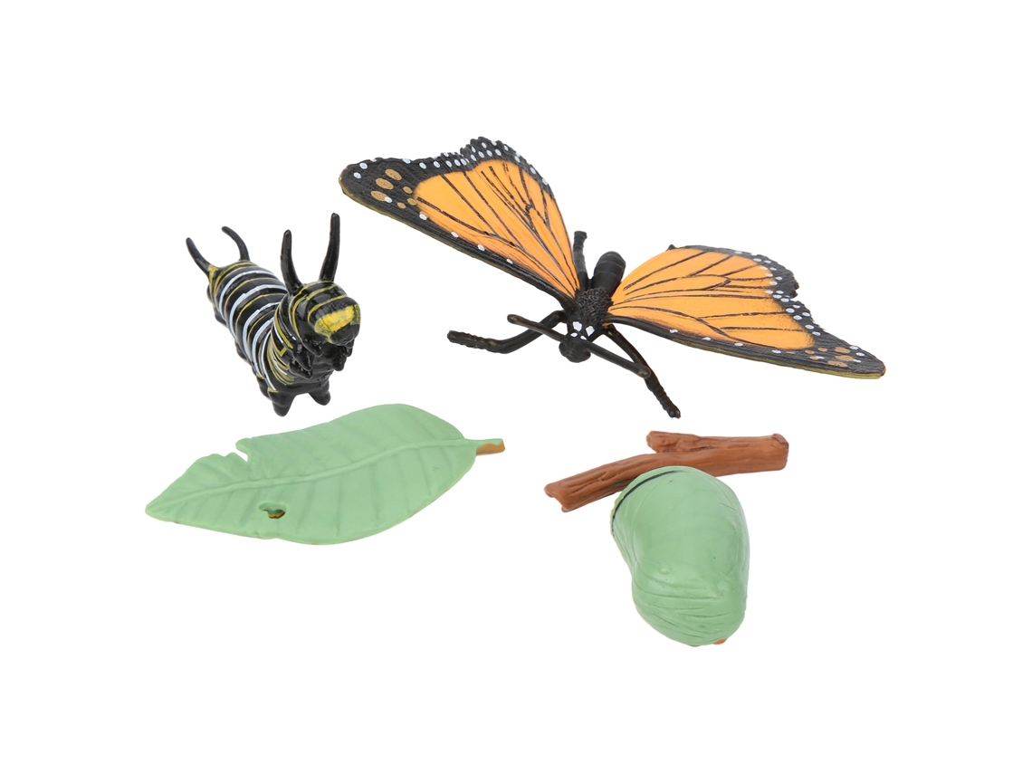 Juguete Educativo: Modelo De Insecto Del Ciclo De Vida De La Mariposa, Simulación Animal Para Niños.