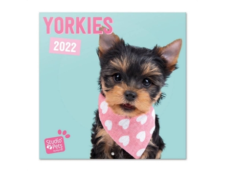 Calendario Studio Pets yorkie 2022 perros pared animales mensual producto con licencia oficial erik editores 30x30