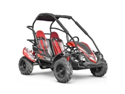 Cochecito De Bebé De 2 Plazas Y 200 Cc - Blazer